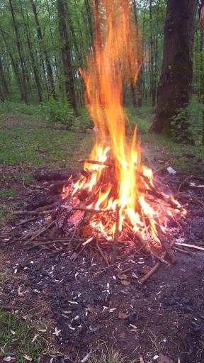 عکس درویش ماهرو