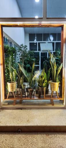 عکس رستوران و گلخانه  سفیر سبز