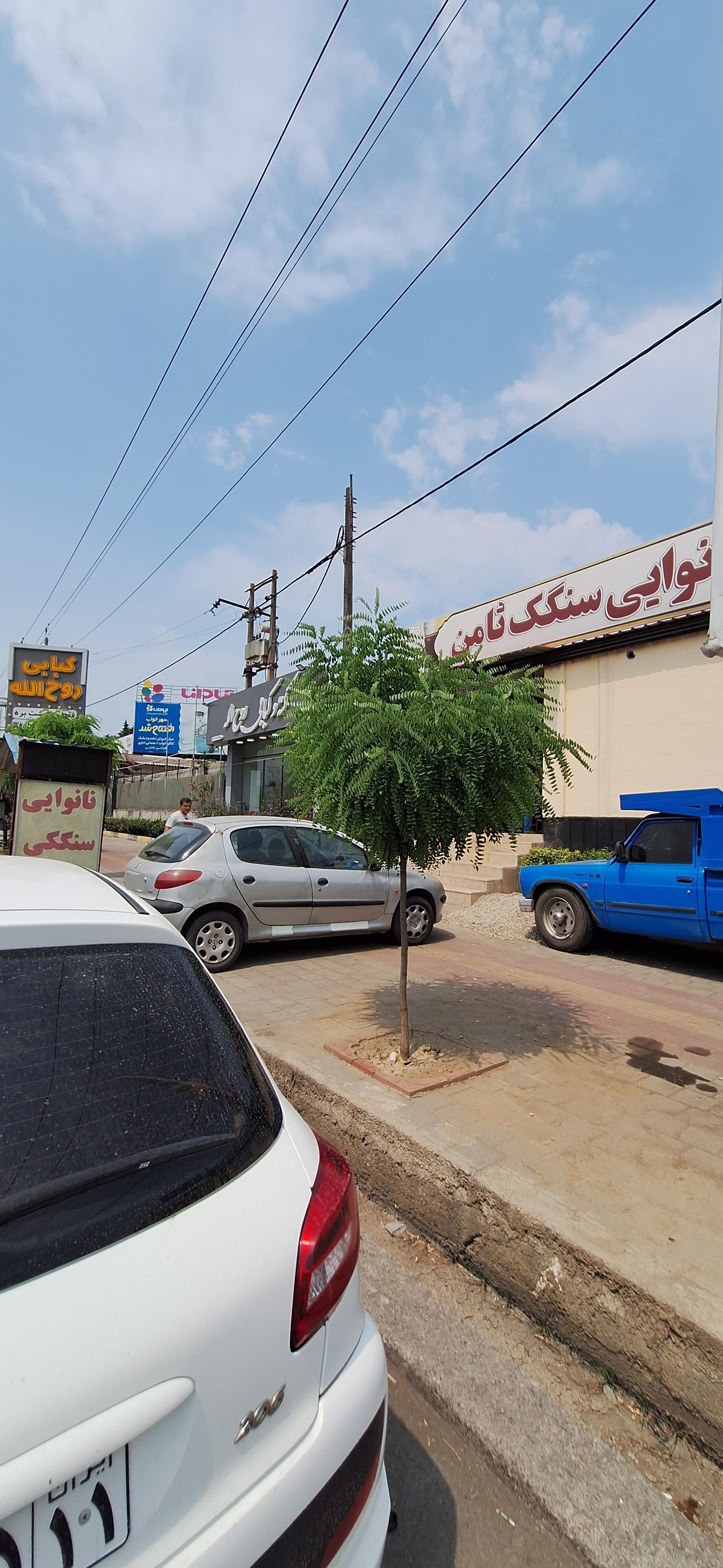 عکس سنگکی ثامن