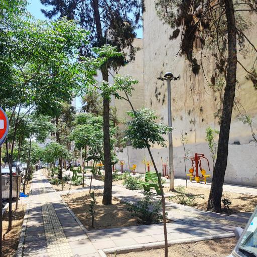 فضای سبز