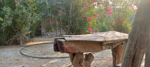 عکس اقامتگاه روستایی نچیدار