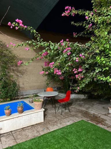 عکس خانه بازی چوبین 