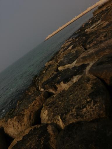 عکس پارک ساحلی نخل تقی