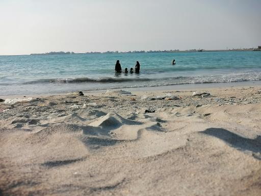 عکس پارک ساحلی نخل تقی