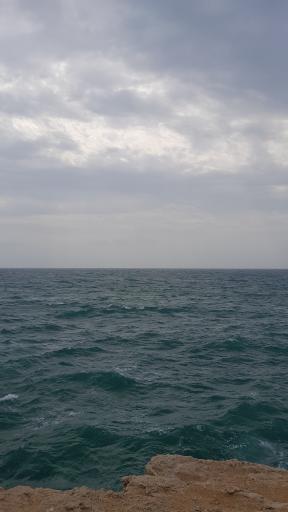 عکس پارک ساحلی نخل تقی