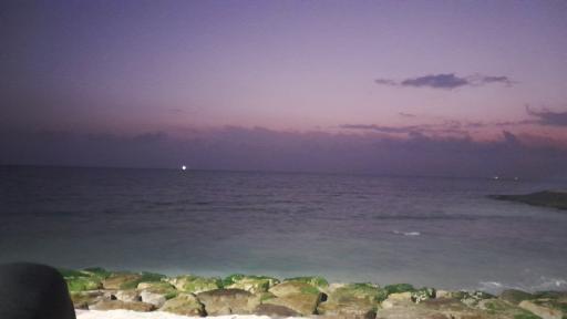 عکس پارک ساحلی نخل تقی