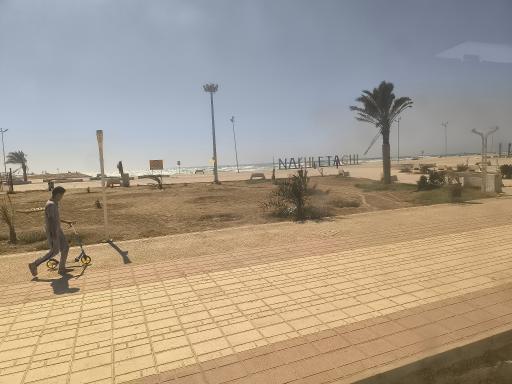 عکس پارک ساحلی نخل تقی