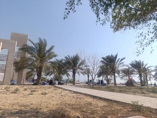 عکس پارک ساحلی نخل تقی