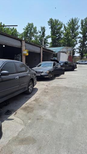 عکس مستر ماکسیما