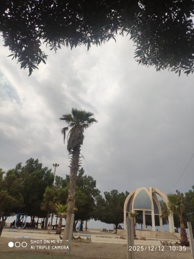 عکس پارک ساحلی نخل تقی