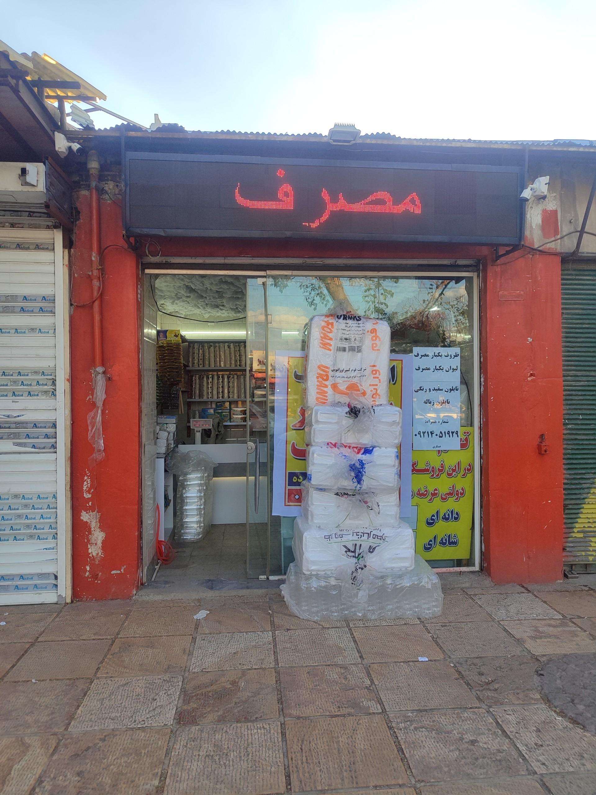 عکس کاکتوس پلاست