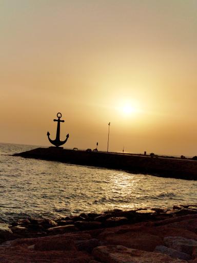 عکس پارک ساحلی نخل تقی