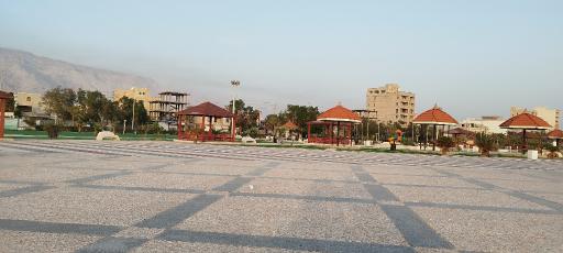 عکس پارک ساحلی نخل تقی