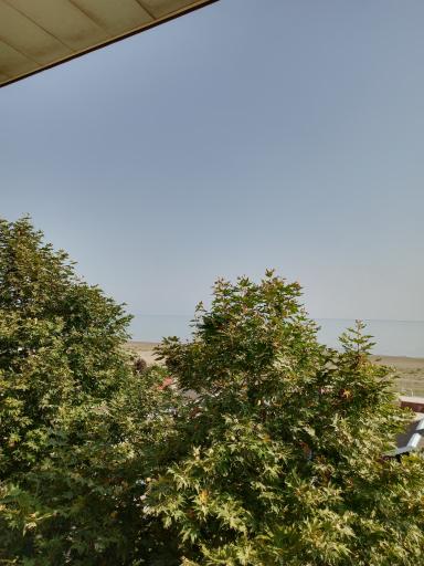 عکس هتل ملل