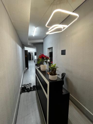 عکس باشگاه بدنسازی پرو وان 