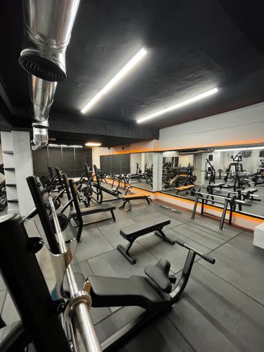 عکس باشگاه بدنسازی پرو وان 