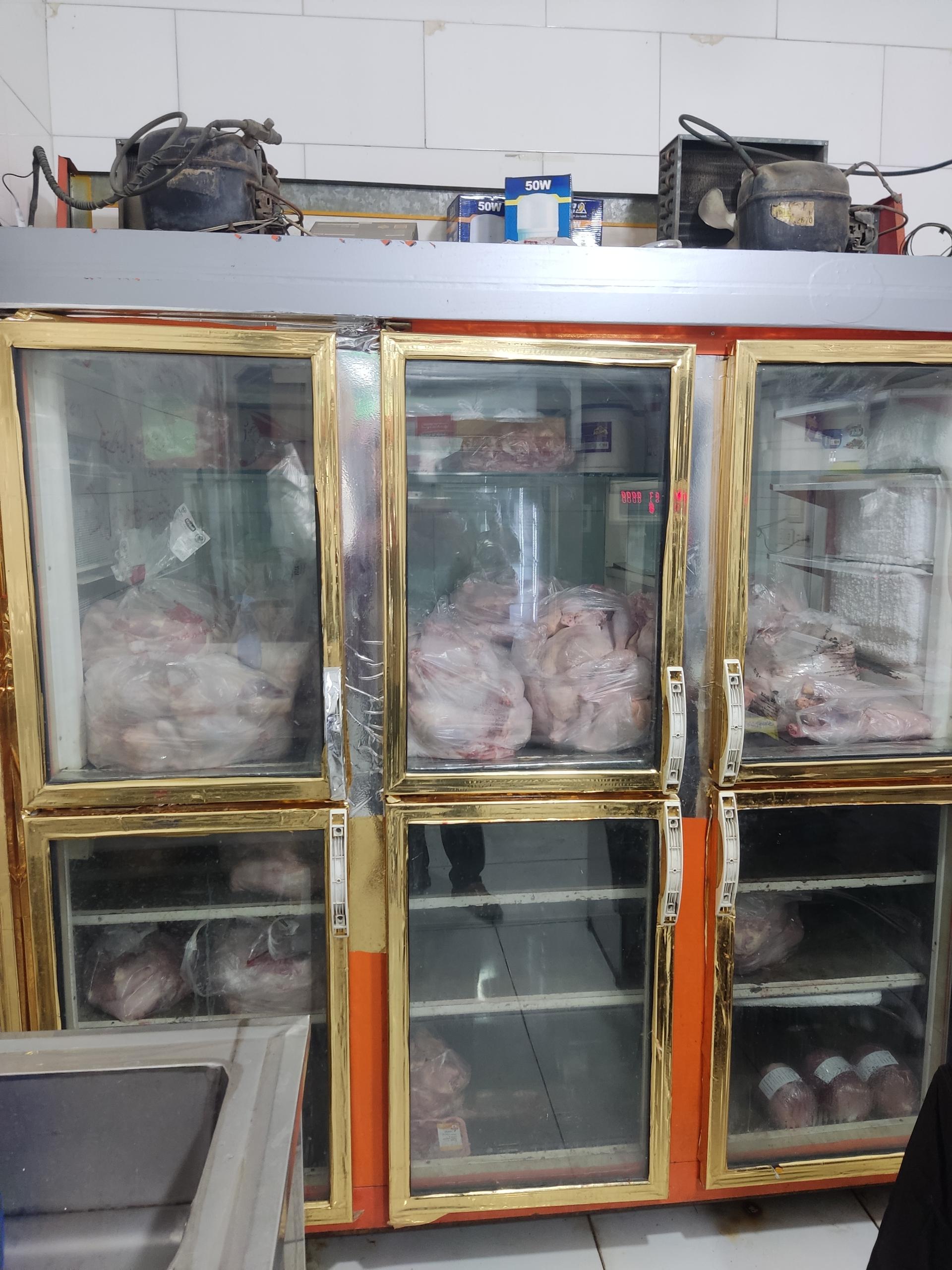 عکس هایپر پروتئین چیندکا 