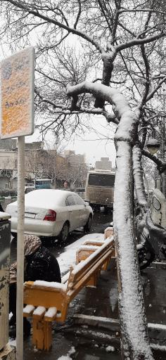 عکس  عبدالمطلب 9