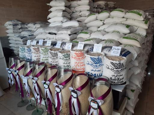 عکس پخش برنج رضوی