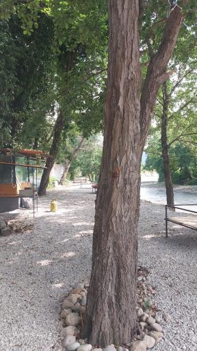 عکس کافه رستوران خانوادگی دوآبی