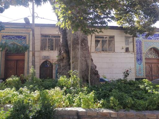 عکس مسجد پا چنار (مسجد جامع)