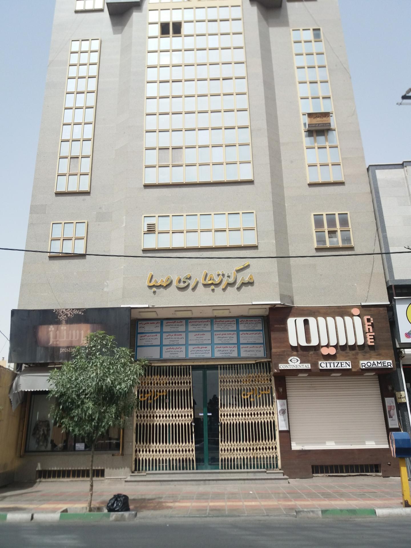 عکس دکتر محمدمهدی شیری