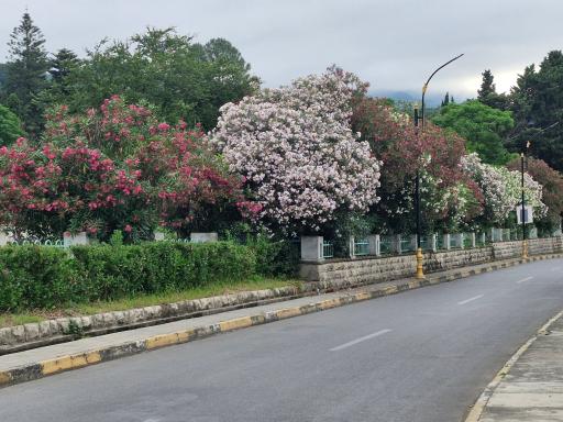 عکس پارک آبی رامسر