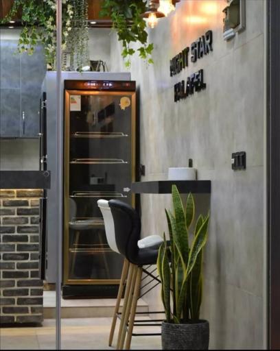 عکس فلافل ستاره شب