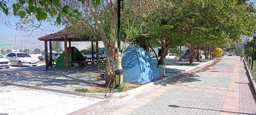 عکس پارک جنگلی