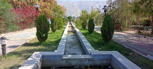 عکس پارک جنگلی