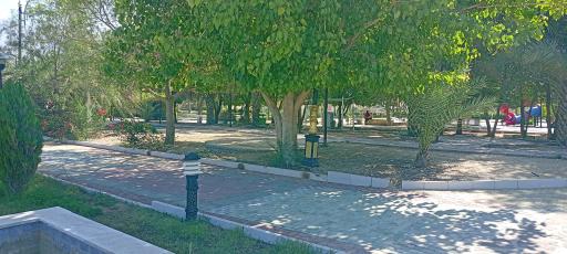 عکس پارک جنگلی