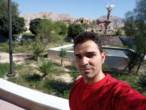 عکس پارک جنگلی