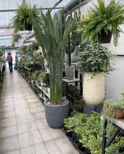 عکس گلخانه پالیز