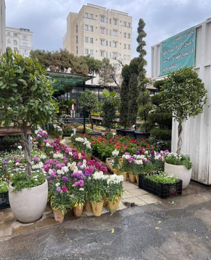 عکس گلخانه پالیز