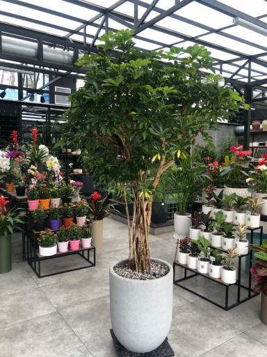 عکس گلخانه پالیز