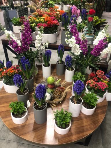 عکس گلخانه پالیز