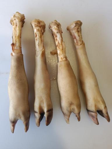 عکس آلایش دامی محمدی 