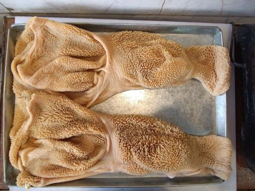 آلایش دامی محمدی 