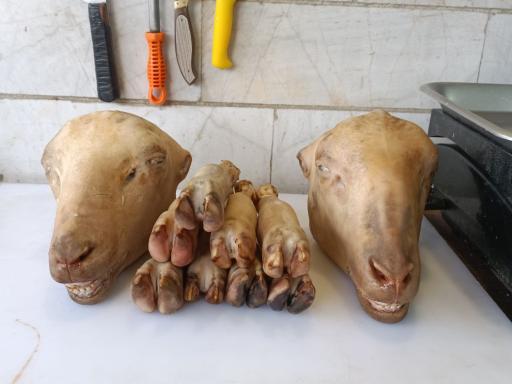 عکس آلایش دامی محمدی 