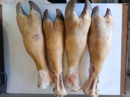 آلایش دامی محمدی 