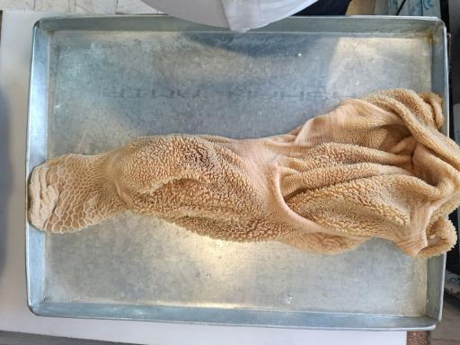 آلایش دامی محمدی 