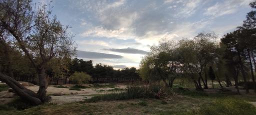 عکس پارک جنگلی انقلاب زرقان