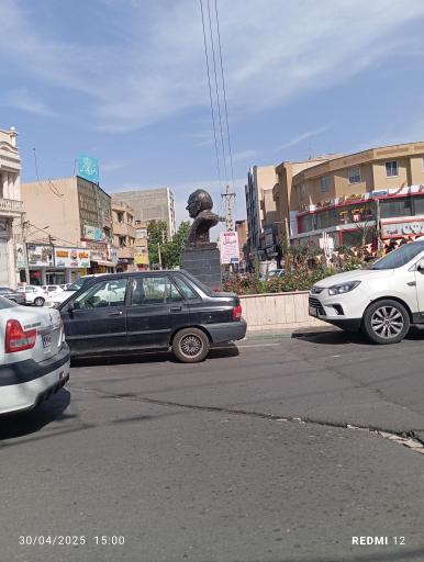 عکس مجسمه دکتر حسابی