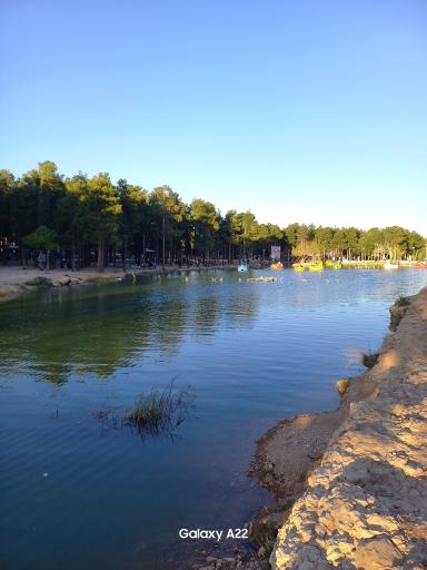 عکس پارک جنگلی انقلاب زرقان