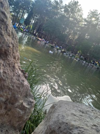 عکس پارک جنگلی انقلاب زرقان