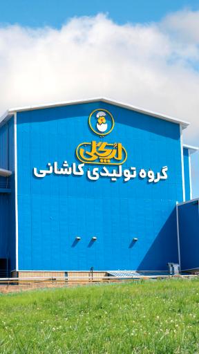 عکس کارخانه لپ گلی