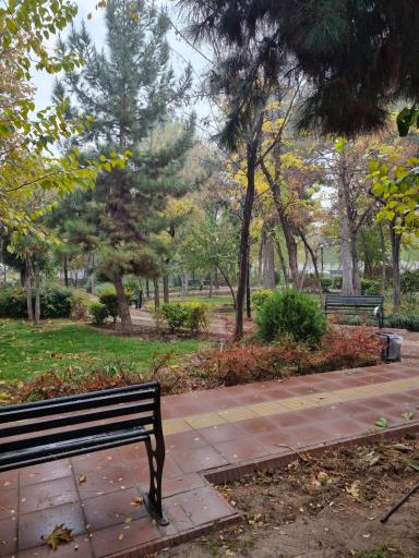 عکس بوستان ماهواره امید