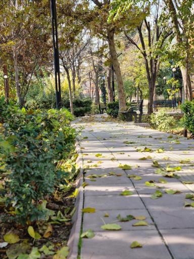 عکس بوستان ماهواره امید