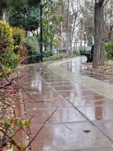 عکس بوستان ماهواره امید