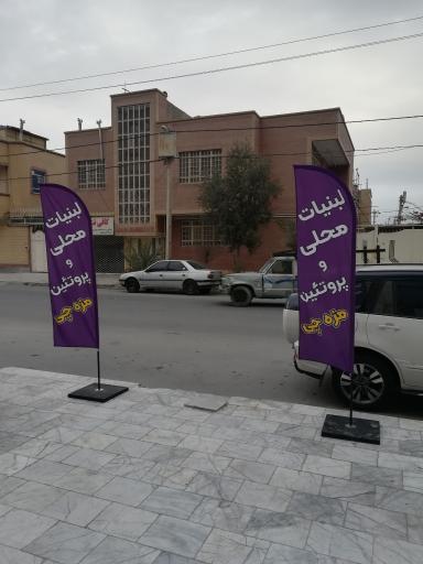 عکس لبنیات و پروتئین مزه چی